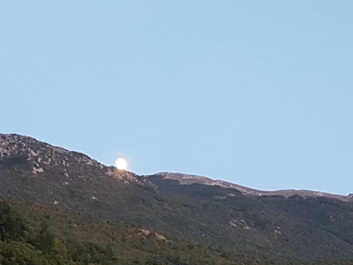 Et Larum Peštani Dış mekan fotoğraf